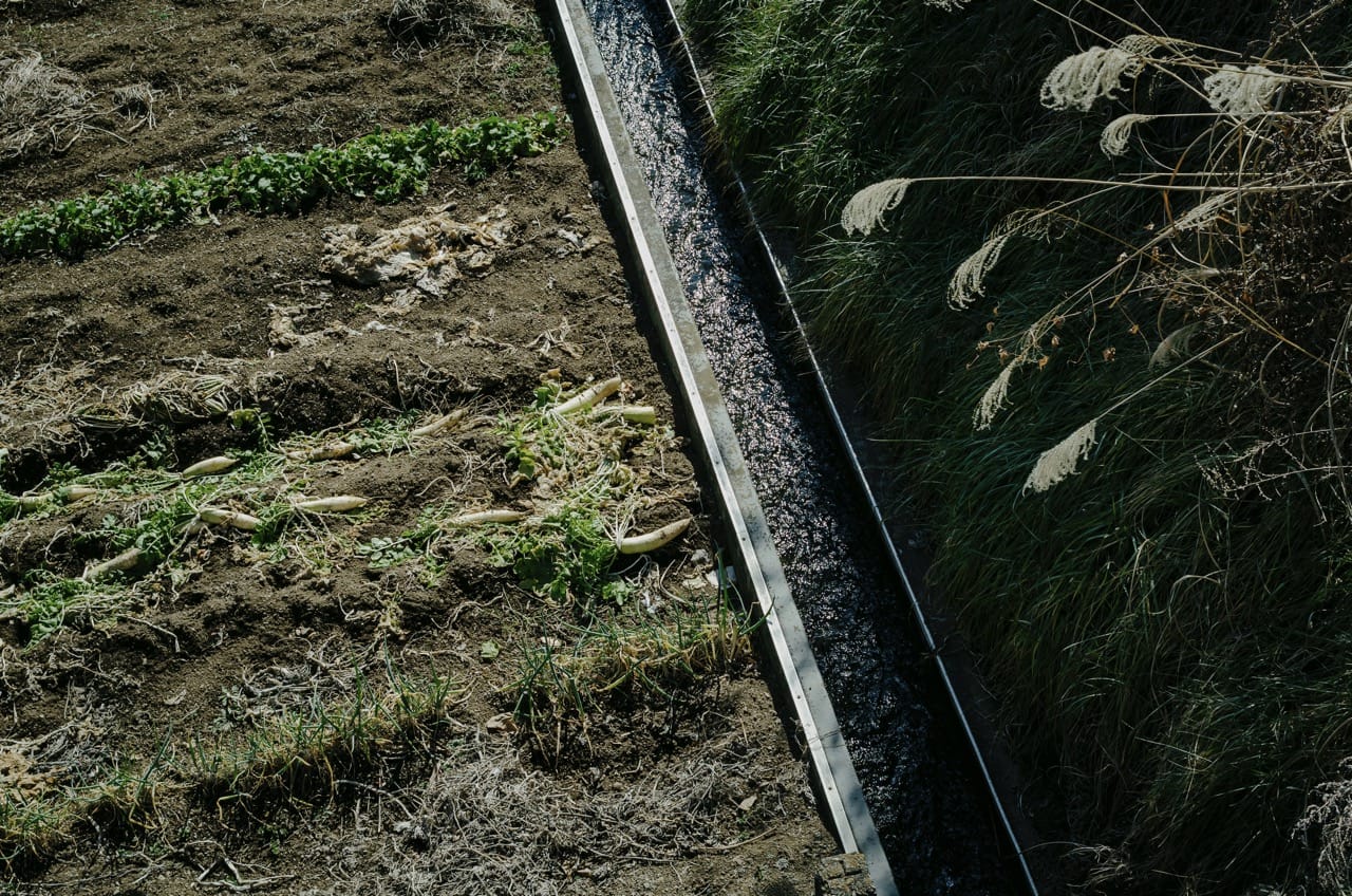 Превью Fuji 2024